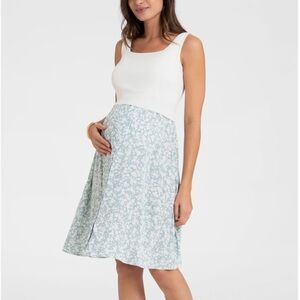 Seraphine Maternity & Nursing Dress